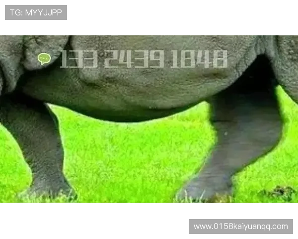 欧博包杀网一比一：全面解析最新一比一包杀技术的应用与优势